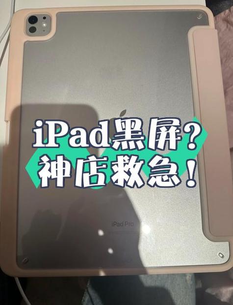 ipad突然黑屏图标一直闪