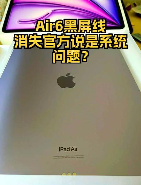 ipad突然黑屏图标一直闪