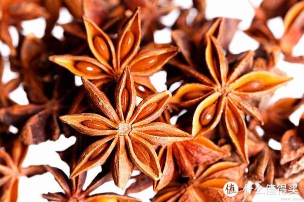 洋果子店的辛辣的调味料是什么