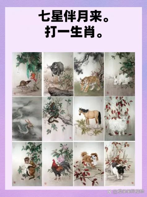 兔冲鸡会开什么生肖