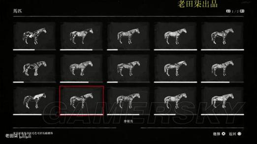 荒野大镖客2所有动物图鉴