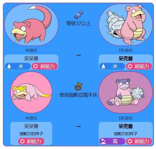 呆呆兽进化等级