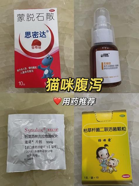 猫拉稀最快解决方法
