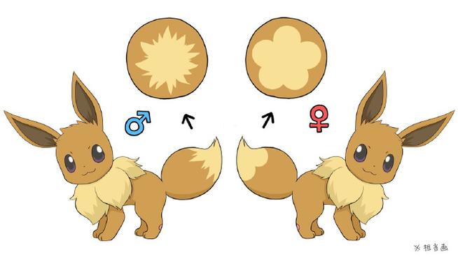 letsgo皮卡丘和伊布区别