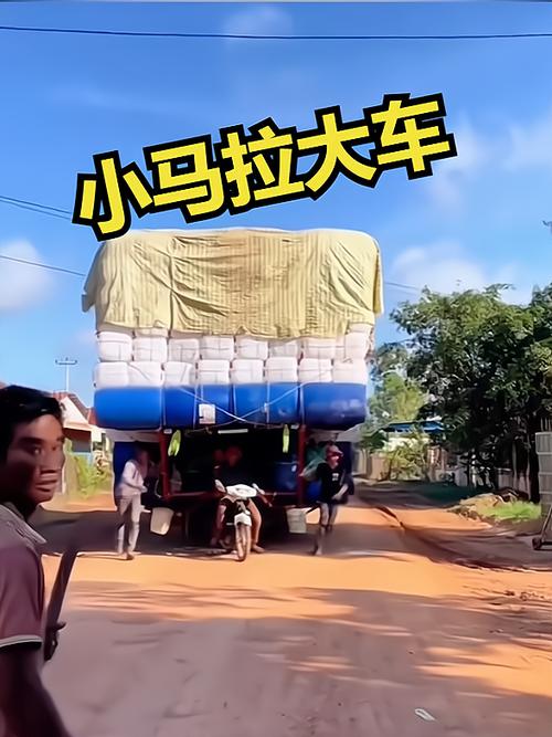 幼儿小马拉大車com