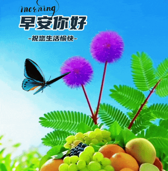 异地恋女生说感冒了正确回复