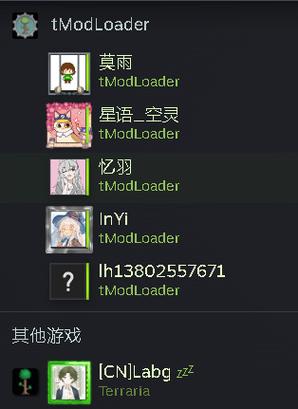泰拉瑞亚tModLoader打不开地图