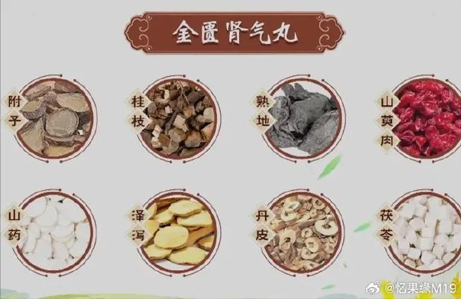 补肾丸组成