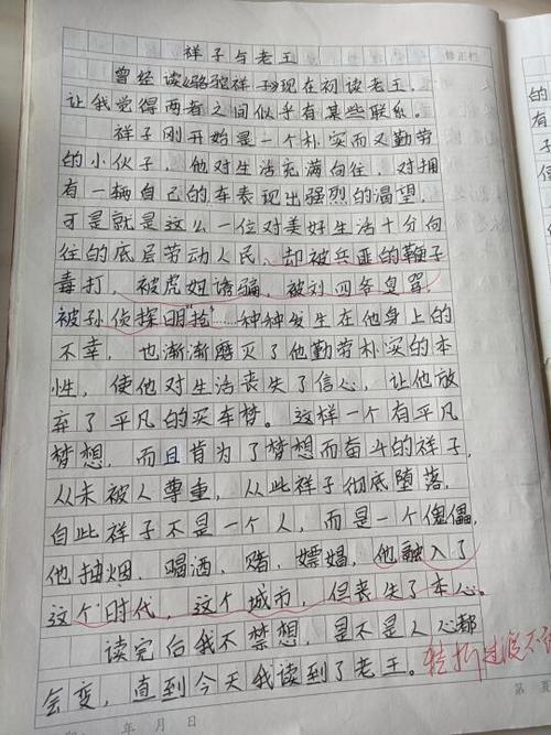 小飞侠读后感100字左右