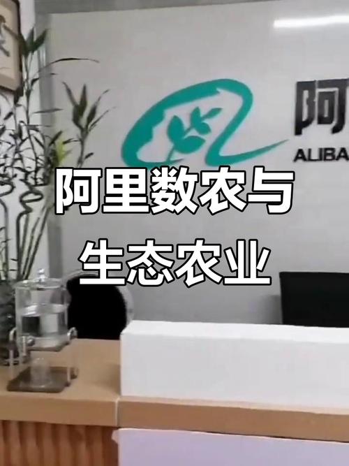 阿里数农最怕三个东西