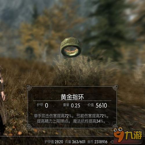 上古卷轴5交易药水配方