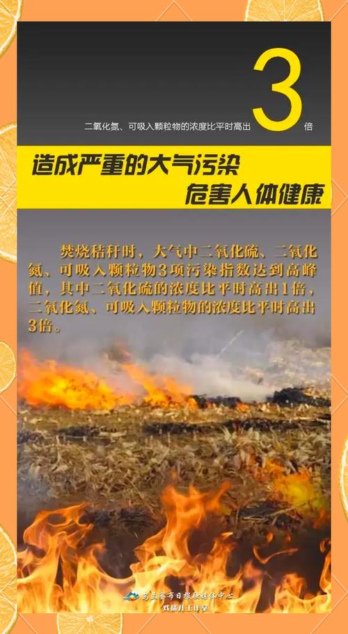 十大环境问题及危害