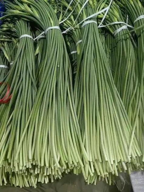 孕妇可以吃蒜苔吗