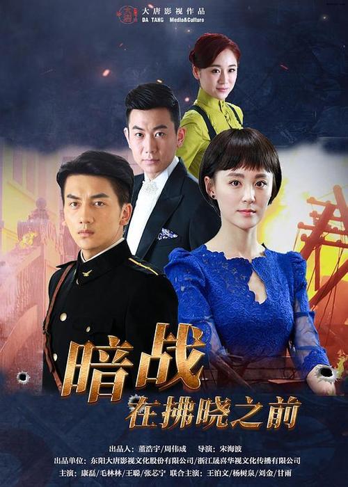 张芯宁演过的电视剧