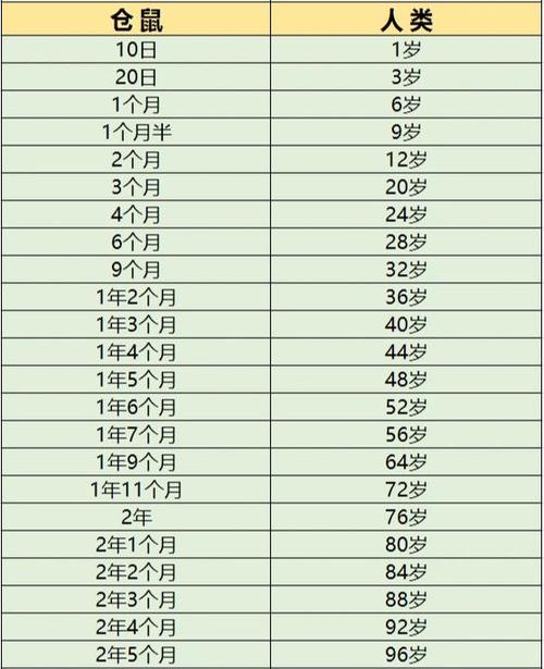 仓鼠能活多少岁