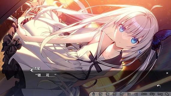 ginka手机直装