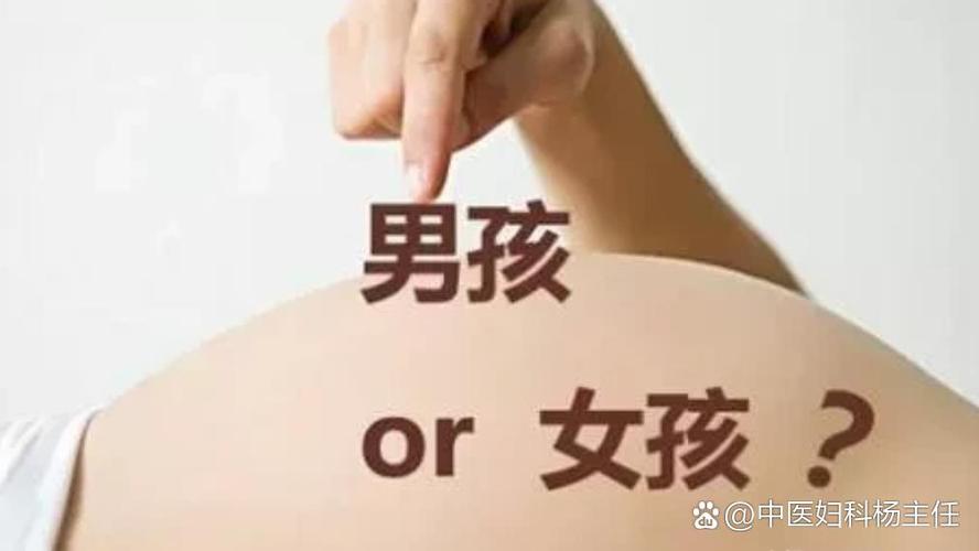 妈妈是男的吗