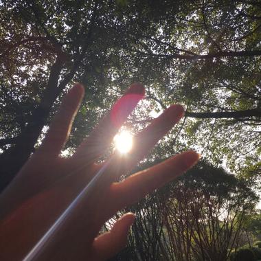 指缝里的阳光温暖而不