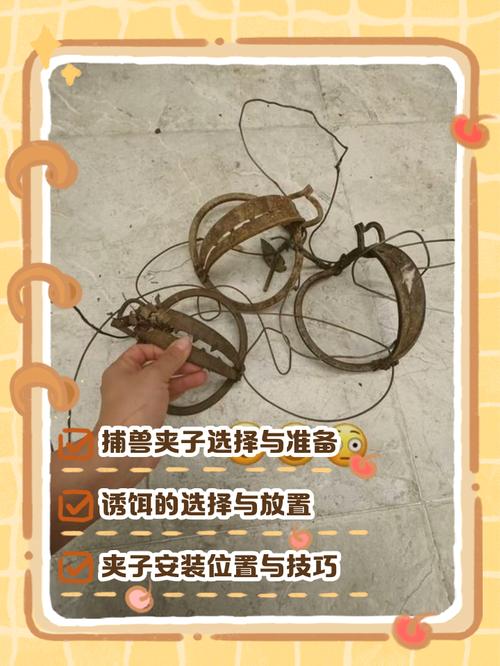 豹猫夹子最佳放夹子方法图标
