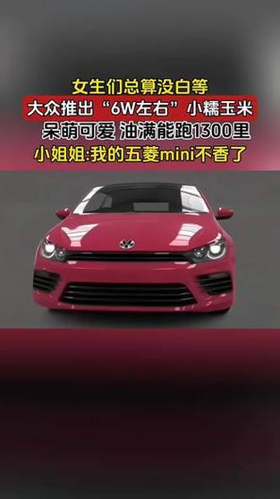 小糯米汽车价格及图片