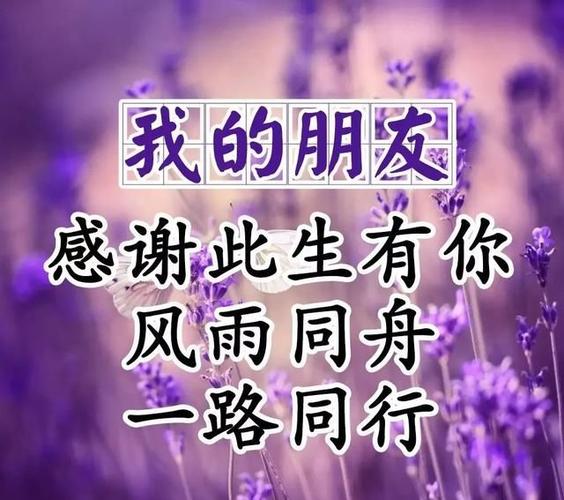真心朋友四个标准