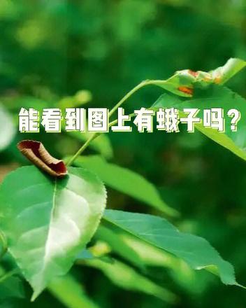 华为p10plus隐藏应用