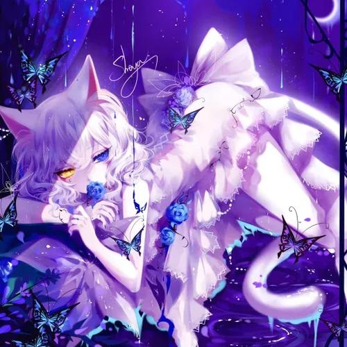 猫耳 动漫
