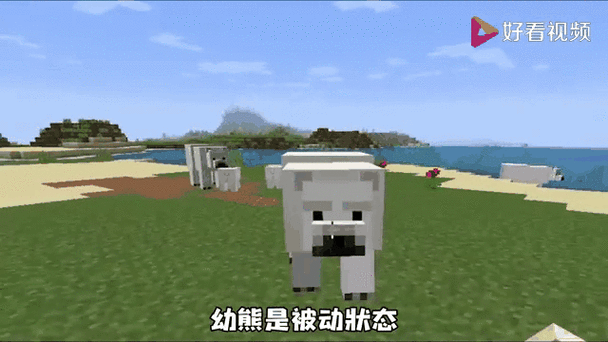 我的世界小熊玩家