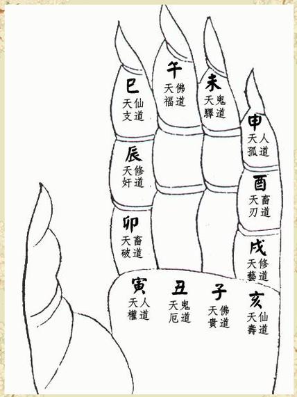 达摩一掌经完整版