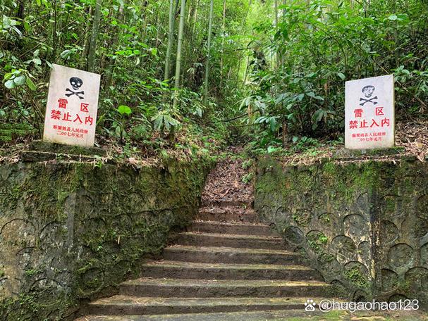 墓碑上发黑要警惕四种病