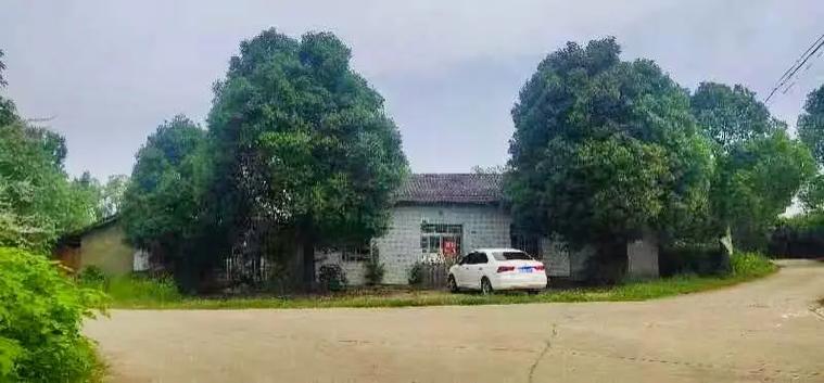 夷陵区鸦鹊岭梦想庄园