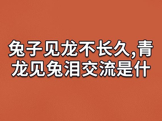 为什么兔见龙泪交流