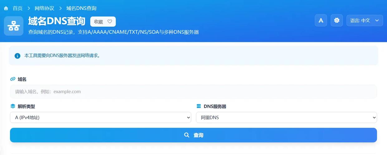 在线本机dns检测工具