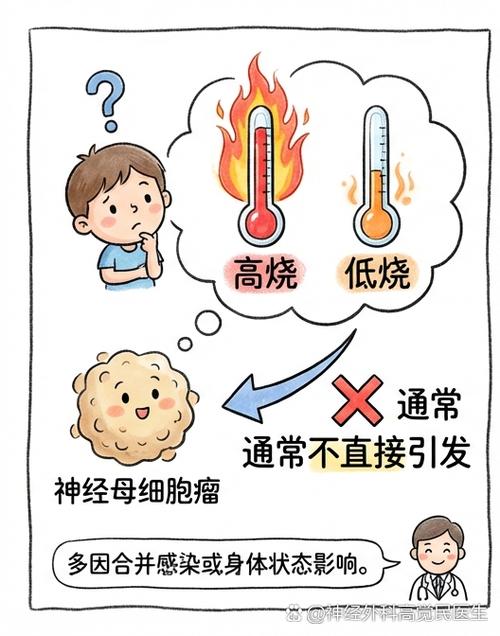 系统感染病毒的原因