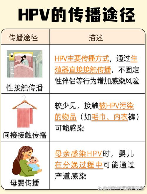 系统感染病毒的原因