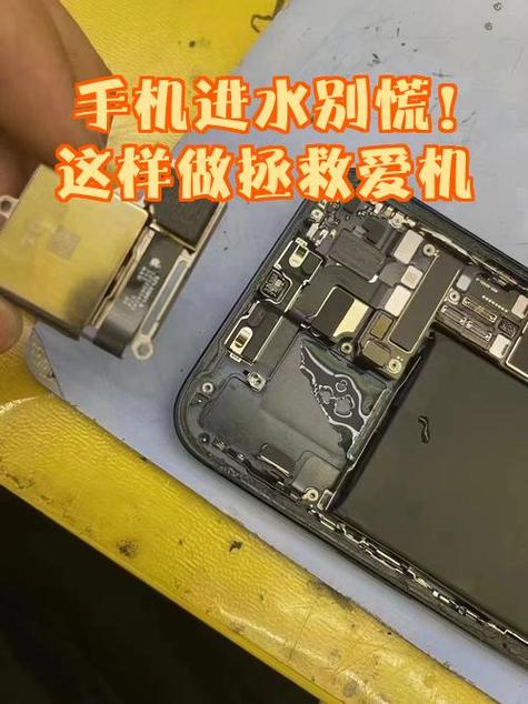 手机进水第二天开机正常