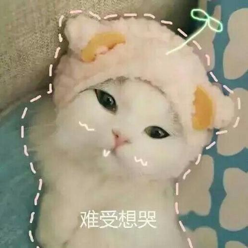 为什么特别想哭心里特别难受
