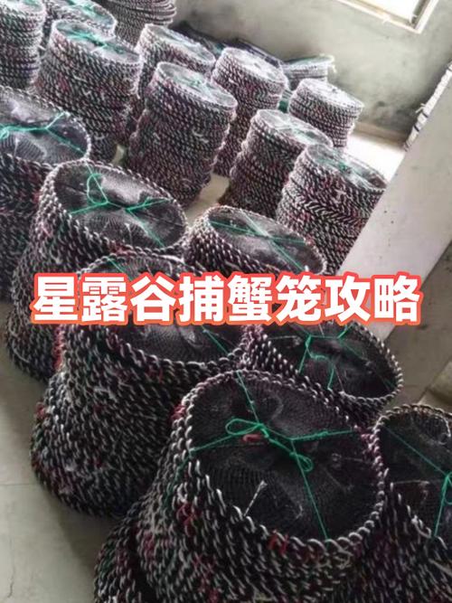 星露谷物语蟹笼怎么收