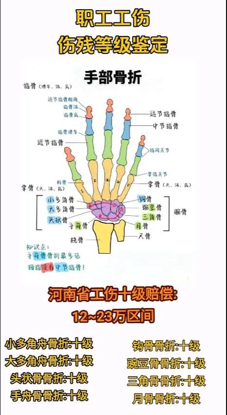 只要是骨折就能评上10级吗