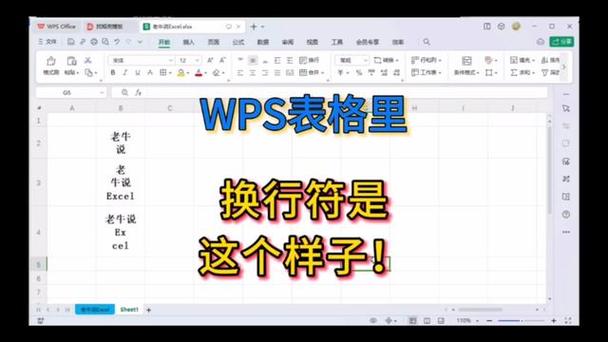 自动换行在哪里设置