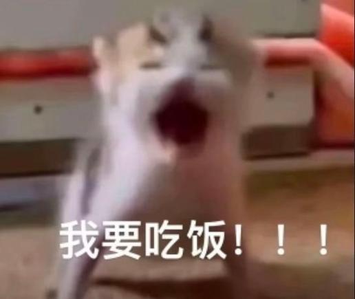 没吃饭?表情包