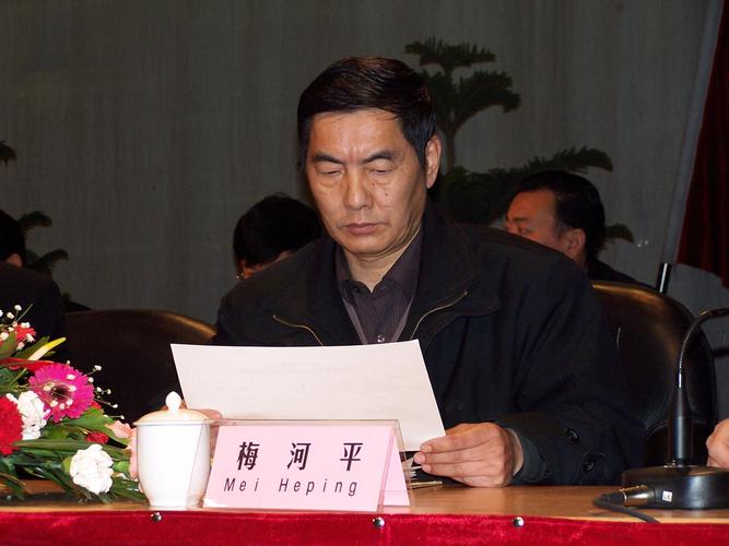 康开引个人简历