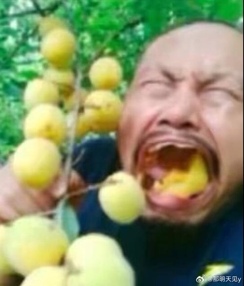 吃李子表情包恶搞表情包