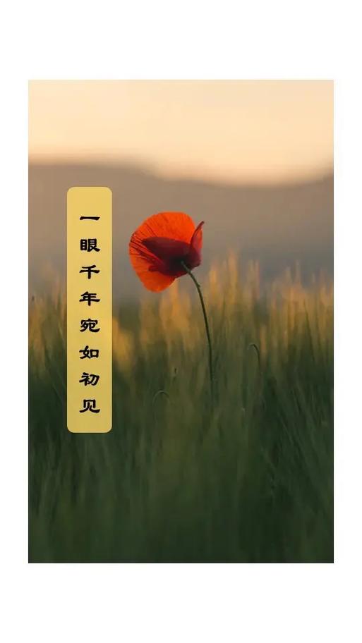 人生若只如初见gl