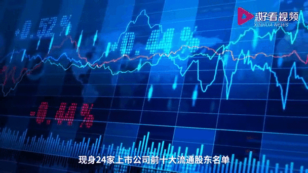 数字中国控股即将上市吗