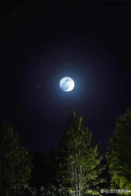 夜晚月亮短视频