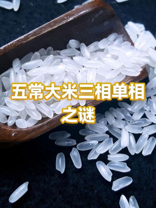 五常最弱是哪国