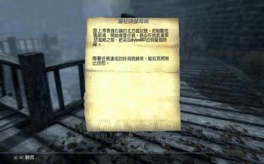 上古卷轴5收养双胞胎