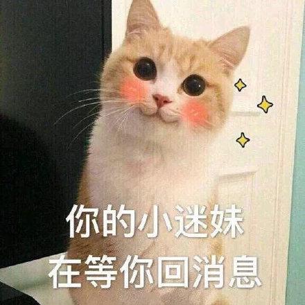 女生自称是你的小迷妹