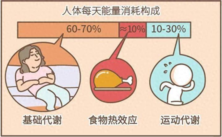 做一小时数学题消耗的能量